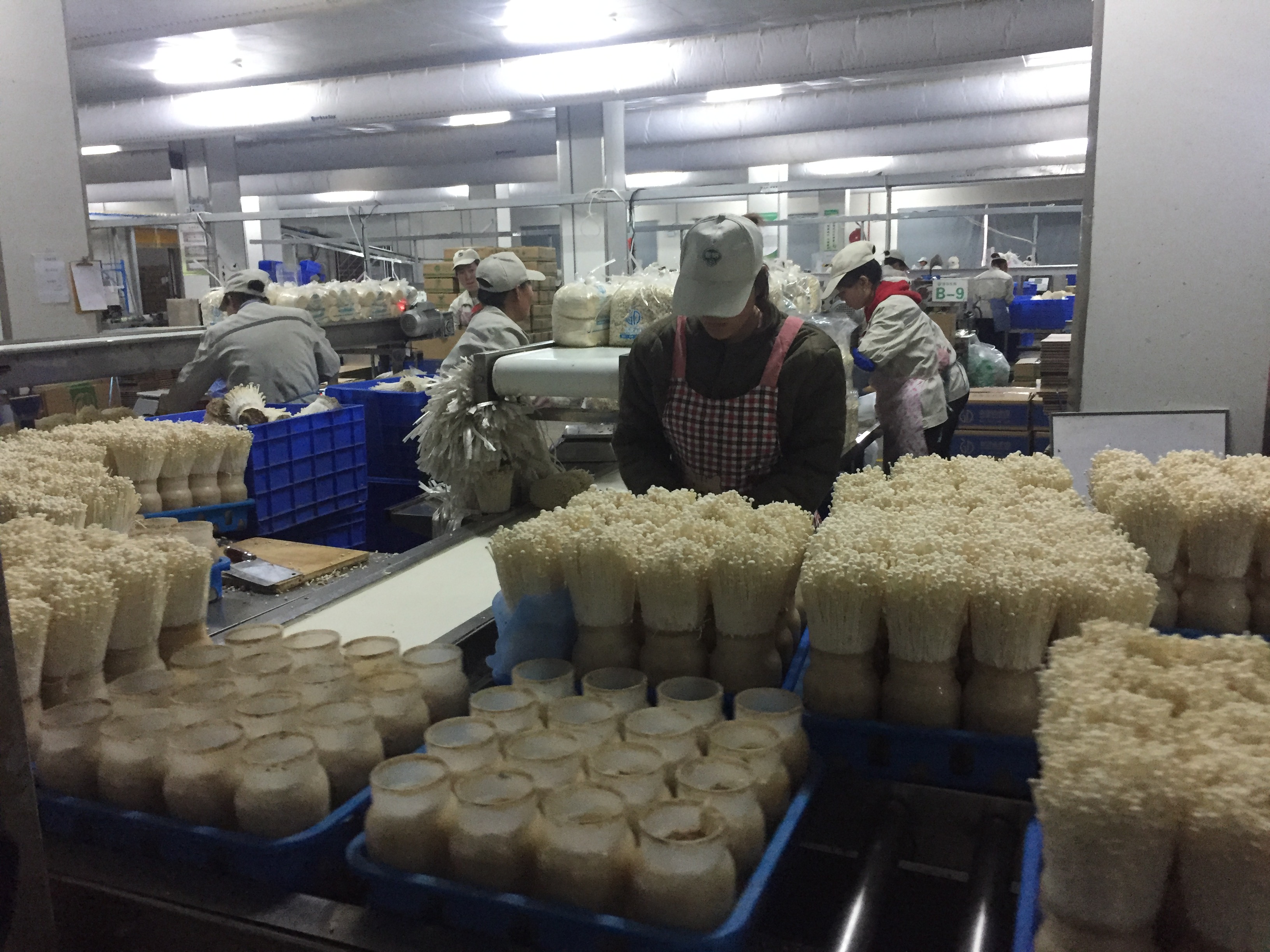 微信图片_20180623102528